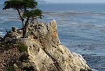 Carmel Historic Walking Tour, Art & Shopping